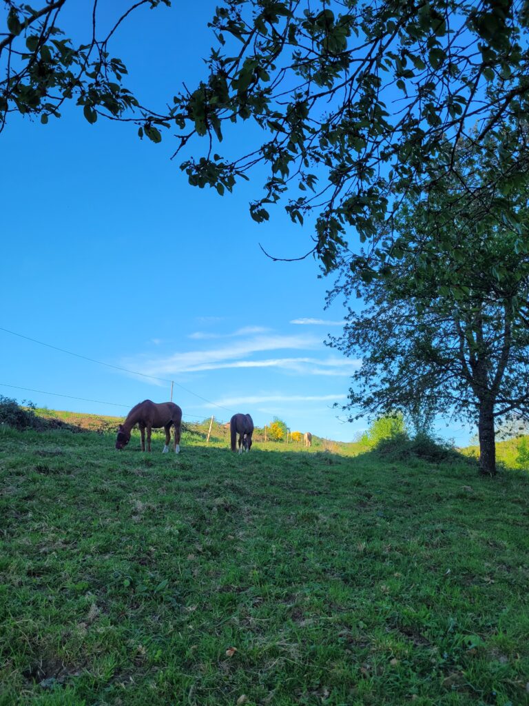 Views from the fields